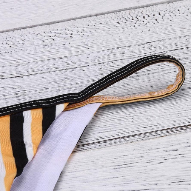Fabulous Women Bikini Sexy Stripe Printing Set